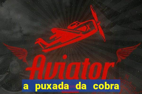 a puxada da cobra no jogo do bicho